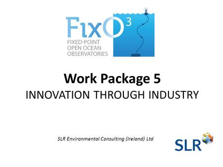 Work Package 5 INNOVATION THROUGH INDUSTRY SLR Environmental Consulting (Ireland) Ltd.