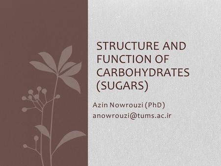 STRUCTURE AND FUNCTION OF CARBOHYDRATES (SUGARS) Azin Nowrouzi (PhD)