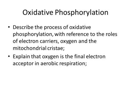 Oxidative Phosphorylation