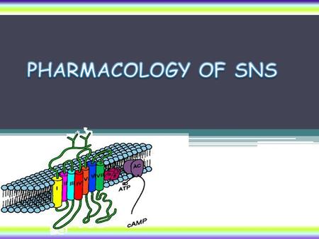 Adrenoceptor Blockers Adrenolytics Adrenergic Neuron Blockers Sympatholytics According to spectrum of action According to chemistry According to mode.