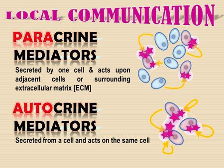 Secreted by one cell & acts upon adjacent cells or surrounding extracellular matrix [ECM] Secreted from a cell and acts on the same cell.