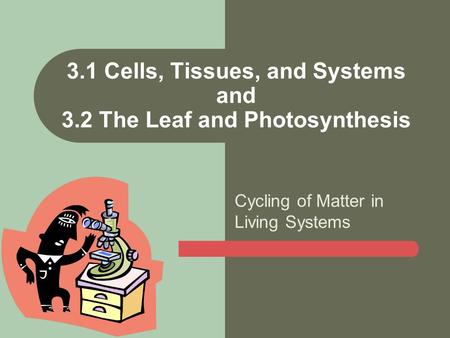 Cycling of Matter in Living Systems 3.1 Cells, Tissues, and Systems and 3.2 The Leaf and Photosynthesis.