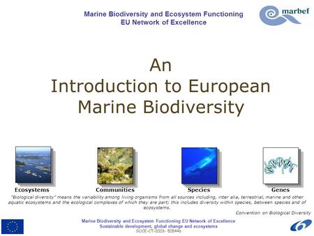 Marine Biodiversity and Ecosystem Functioning EU Network of Excellence Sustainable development, global change and ecosystems GOCE-CT-2003- 505446 An Introduction.