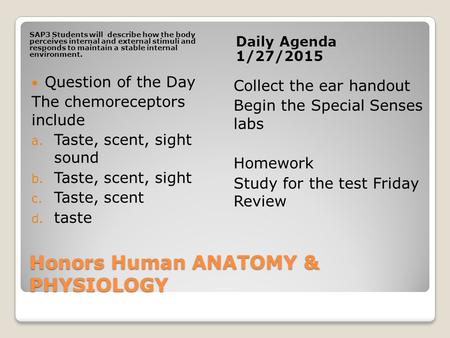 Honors Human ANATOMY & PHYSIOLOGY SAP3 Students will describe how the body perceives internal and external stimuli and responds to maintain a stable internal.