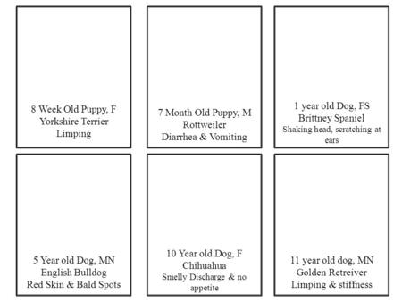 8 Week Old Puppy, F Yorkshire Terrier Limping 7 Month Old Puppy, M Rottweiler Diarrhea & Vomiting 5 Year old Dog, MN English Bulldog Red Skin & Bald Spots.
