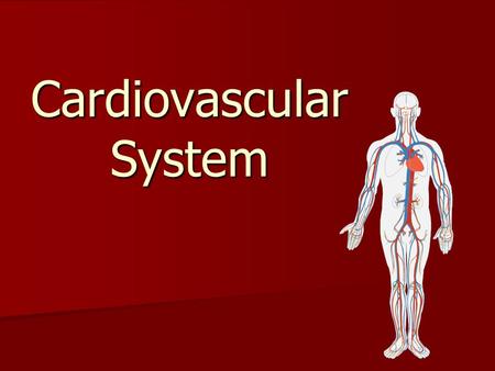 Cardiovascular System