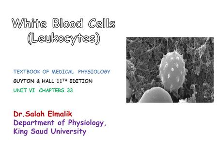 White Blood Cells (Leukocytes)