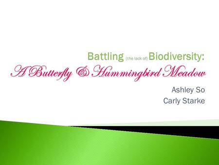 Ashley So Carly Starke.  Statement of the Situation ◦ Identification of the Problem  Proposed Solution  Background  Ethical Issues  Objectives 