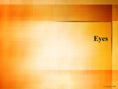 Eyes D. Crowley, 2008. Eyes To know how our eyes are developed to allow us to see the world around us.