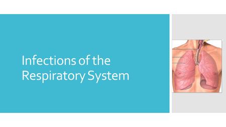 Infections of the Respiratory System. Why is this system important?  The respiratory system is the most commonly infected system  Health care providers.