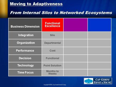 Copyright © 2003, Cap Gemini Ernst & Young Business Dimension Functional Excellence Integration Silo Organization Departmental Performance Cost Decision.