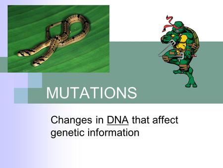 MUTATIONS Changes in DNA that affect genetic information.