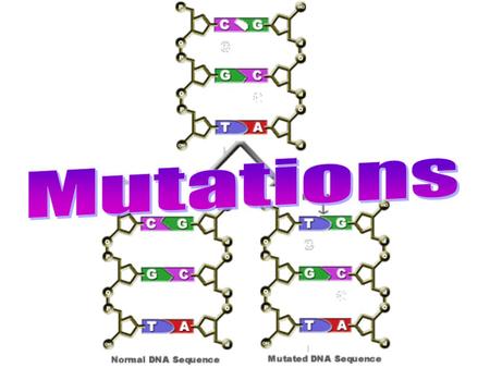 Defined: a change in an organism’s DNA Where: DNA or Chromosomes When: During replication, Synapses, or Crossing-Over Mutations can affect a single.