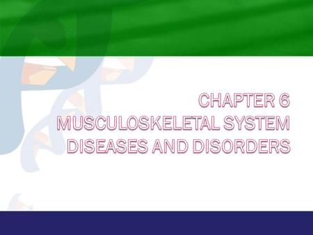 Anatomy and Physiology  Bones and Joints  Bones provide framework and support; classified by shape and composition  Joints: where two or more bones.