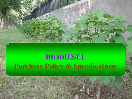 BIODIESEL Purchase Policy & Specifications