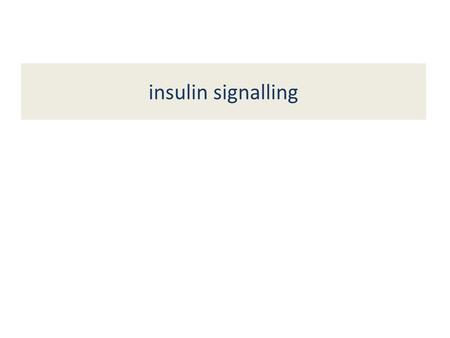 Insulin signalling. Neuro-anatomy of homeostatic regulation of food intake; opposing actions of AgRP/NPY and POMC/CART containing neurons.