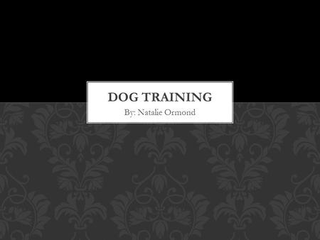 By: Natalie Ormond. Teach how to train dogs in a more productive and rewarding way. Dog owner; recently got a lab puppy Everyone has dogs in their lives.