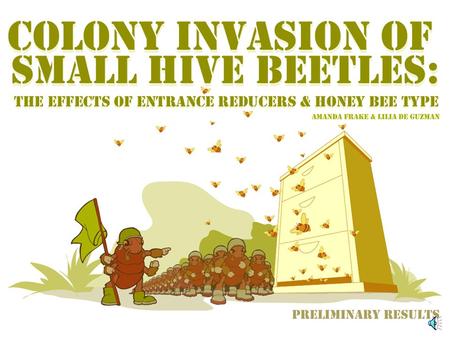 A fast growing problem How can we stop SHB spread? Entrance Reducers Honey bee stock.