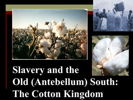 Slavery and the Old (Antebellum) South: The Cotton Kingdom.