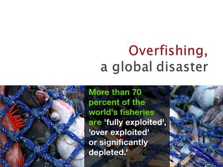 It is tempting to think that the ocean has an unlimited source of fish. After all, the oceans cover 3/4 of the earth's surface. Lately, however, we have.