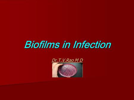 Biofilms in Infection Dr.T.V.Rao M D.