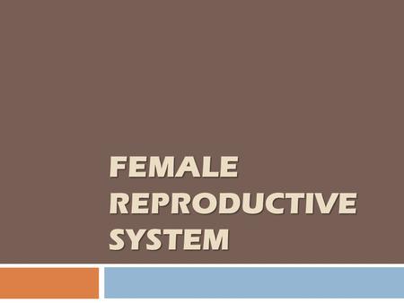 FEMALE REPRODUCTIVE SYSTEM. Female sex hormones  Steroids hormones.  Synthesized from cholesterol precursor.  Converted from one to the other in the.