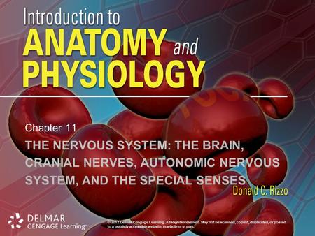 © 2012 Delmar Cengage Learning. All Rights Reserved. May not be scanned, copied, duplicated, or posted to a publicly accessible website, in whole or in.