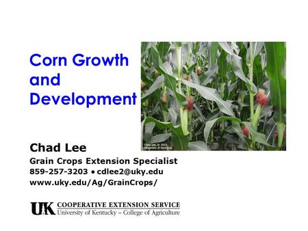 Corn Growth and Development