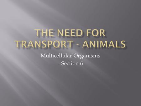 Multicellular Organisms - Section 6.  A large animal has a small surface area relative to its volume  It needs additional absorbing surfaces to take.