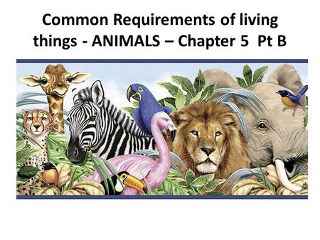 Common Requirements of living things - ANIMALS – Chapter 5 Pt B.