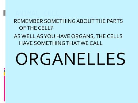 ORGANELLES ANIMAL CELL REMEMBER SOMETHING ABOUT THE PARTS OF THE CELL?