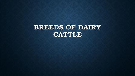 BREEDS OF DAIRY CATTLE. US MILK PRODUCTION Trends Trends Fairly steady slow increase in production Fairly steady slow increase in production Consistent.