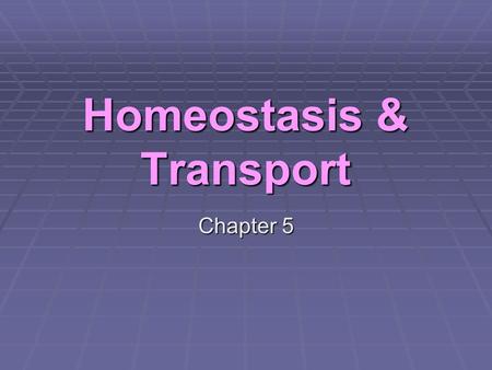 Homeostasis & Transport