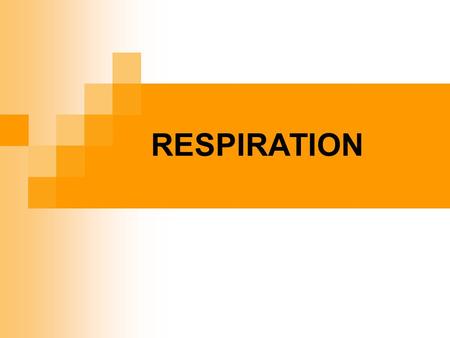 RESPIRATION. Energy in food Carbohydrates (17 kJ g -1 ) Proteins (17 kJ g -1 ) Lipids (34 kJ g -1 ) These are sources of reduced carbon This can supply.