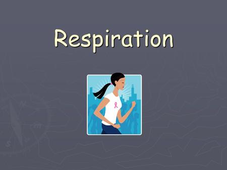 Respiration. Custard powder experiment Did the food contain energy? What kind of energy did it have to start with? What kinds of energy was this released.