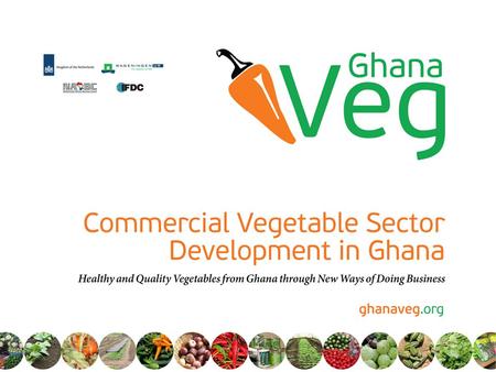 GhanaVeg Update Joep van den Broek Program Leader.