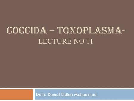 COCCIDA – TOXOPLASMA- LECTURE NO 11