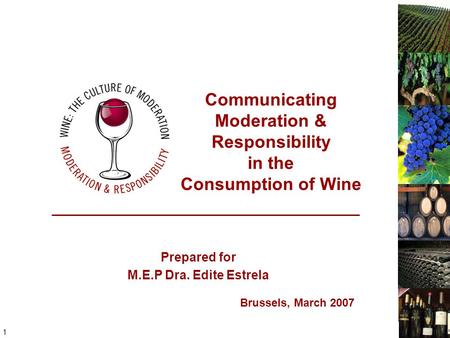 1 Prepared for MEP Dra. Edite Estrela, Brussels, March 2007 Brussels, March 2007 Prepared for M.E.P Dra. Edite Estrela Communicating Moderation & Responsibility.