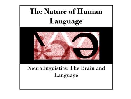 The Nature of Human Language