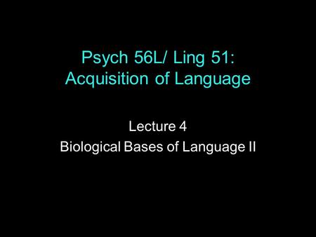 Psych 56L/ Ling 51: Acquisition of Language Lecture 4 Biological Bases of Language II.