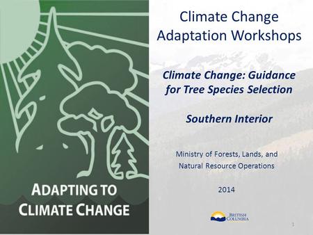 Climate Change Adaptation Workshops Climate Change: Guidance for Tree Species Selection Southern Interior Ministry of Forests, Lands, and Natural Resource.