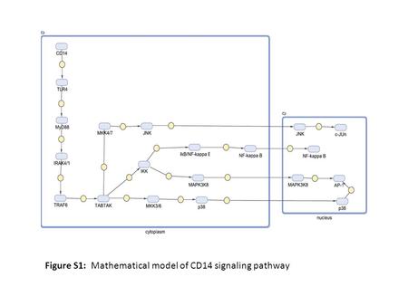 Figure S1: Mathematical model of CD14 signaling pathway.