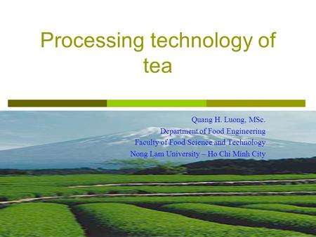 Processing technology of tea Quang H. Luong, MSc. Department of Food Engineering Faculty of Food Science and Technology Nong Lam University – Ho Chi Minh.