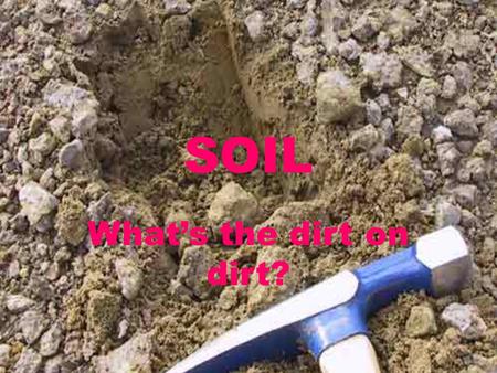 SOIL What’s the dirt on dirt?. Why study soil in environmental science??? Soils are the foundation for ecosystems. Understanding soils and the organisms.