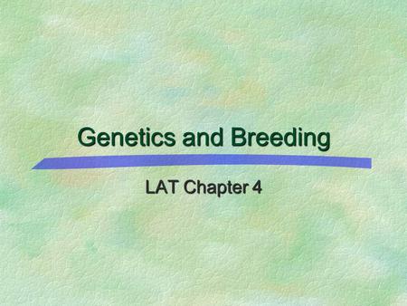 Genetics and Breeding LAT Chapter 4. Chapter 4 LAT Presentations Study Tips If viewing this in PowerPoint, use the icon to run the show.  Mac users go.