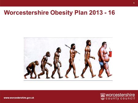 Www.worcestershire.gov.uk Worcestershire Obesity Plan 2013 - 16 1.