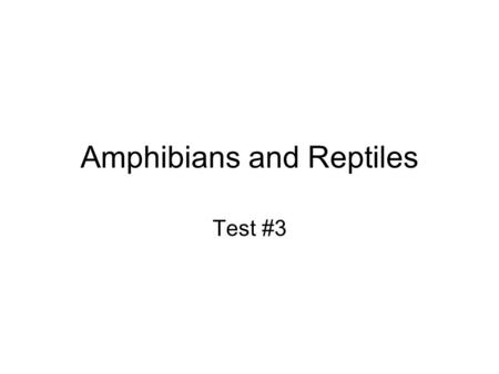 Amphibians and Reptiles