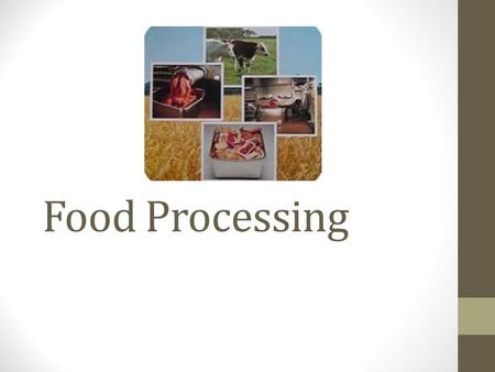 Food Processing. Road map- this meal from start to your kitchen table Small group assignment.