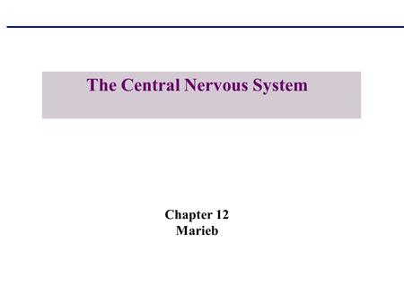 The Central Nervous System