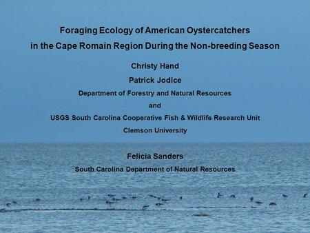 Foraging Ecology of American Oystercatchers in the Cape Romain Region During the Non-breeding Season Christy Hand Patrick Jodice Department of Forestry.